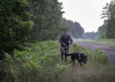  Pašlaik Lietuvas un Baltkrievijas robežu kopā ar lietuviešu robežsargiem jau apsargā 26 kolēģi no "Frontex", viņu skaits tiks palielināts līdz 60. 