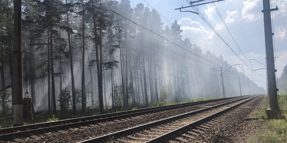 В рижских лесах объявлено желтое предупреждение в связи с высокой пожароопасностью