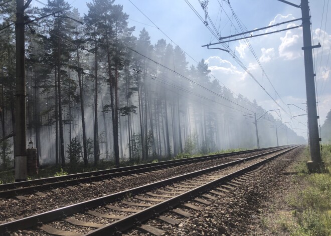 В рижских лесах объявлено желтое предупреждение в связи с высокой пожароопасностью