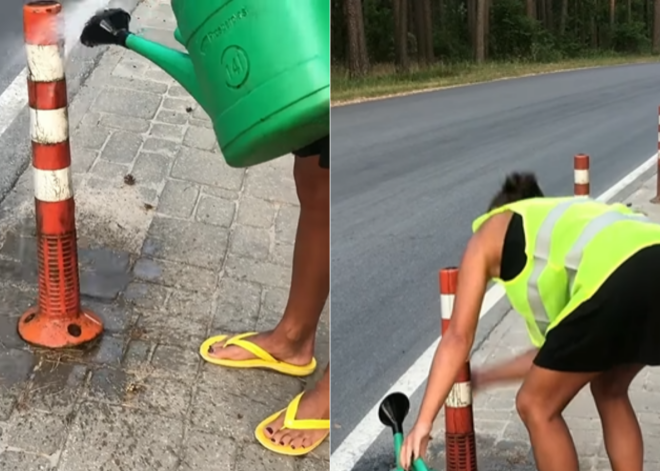 Ищу работу на вечер! Латвийцев раззадорило видео, высмеивающее мытье столбиков за более чем 16 евро каждый