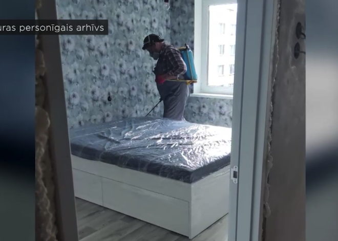 На рижанку ночью с потолка падают личинки: причина этого совершенно жуткая