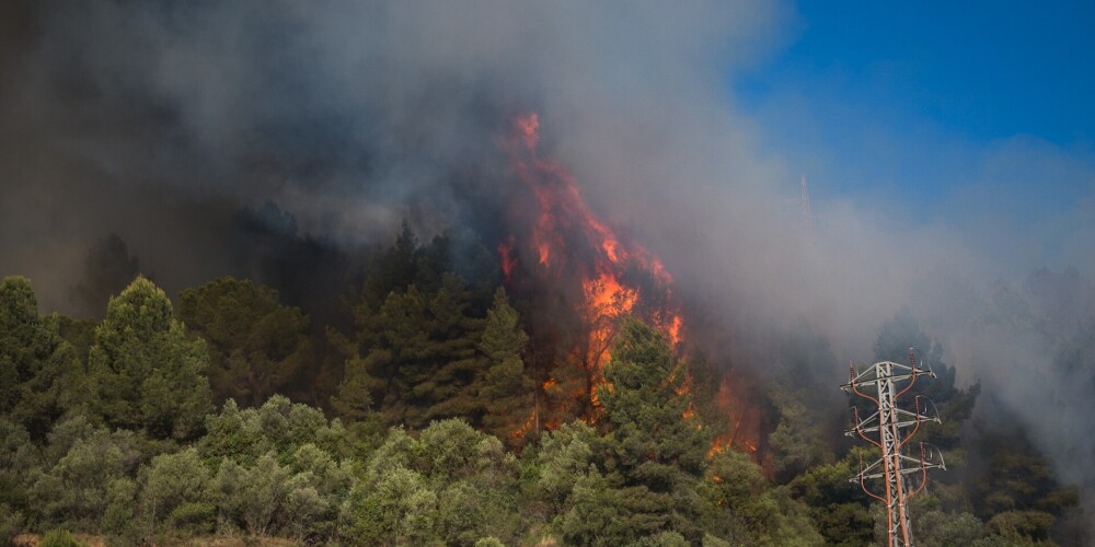 Katalonijas rietumos plosās liels mežu ugunsgrēks