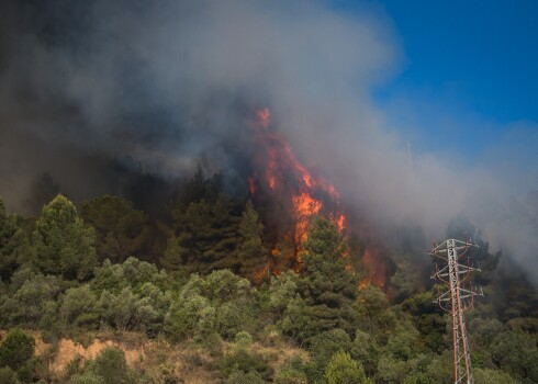 Katalonijas rietumos plosās liels mežu ugunsgrēks