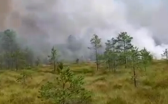 Pēc pašreizējām aplēsēm, ugunsgrēks izpostījis apmēram 80 hektāru Pemmes purva teritorijas.
