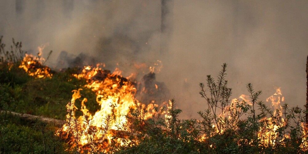 На горящем Пеммском болоте продолжаются работы по тушению пожара: спасатели надеются на помощь дождя