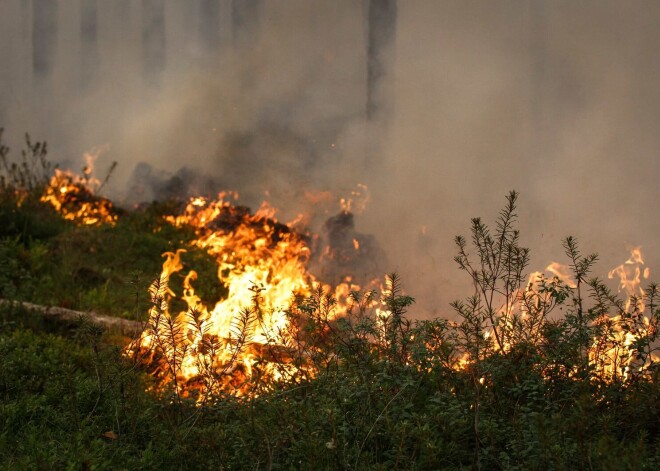 На горящем Пеммском болоте продолжаются работы по тушению пожара: спасатели надеются на помощь дождя