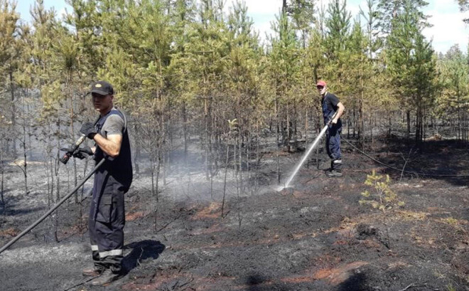 Garkalnes meža ugunsgrēka laikā izdega 21 hektrārus liela teritorija.