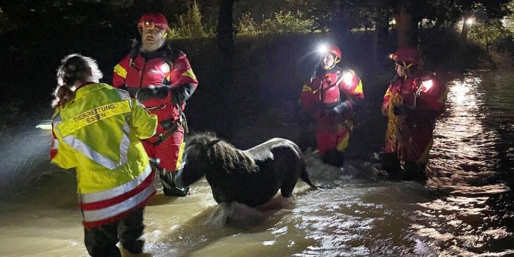 Acīs bailes un apjukums: Vācijā no plūdiem glābj simtiem dzīvnieku