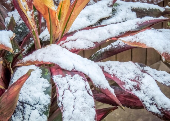 Шок! В Бразилии в конце июля выпал снег
