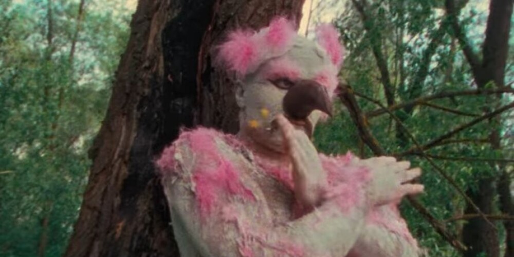 Розовый фламинго уже не тот: "абсолютная дичь", но исполнительница в восторге