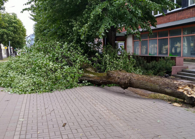 Aizvadītajā diennaktī glābēji palīdzējuši novākt ap 70 vēja nolauztus kokus