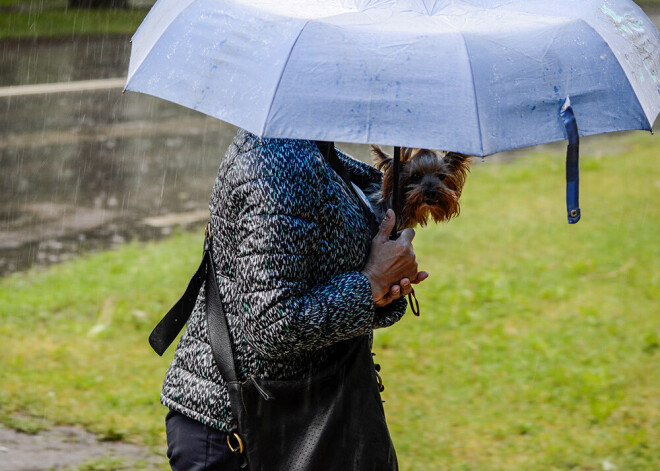 Otrdien daudzviet gaidāms īslaicīgs lietus, temperatūra nepārsniegs +22 grādus