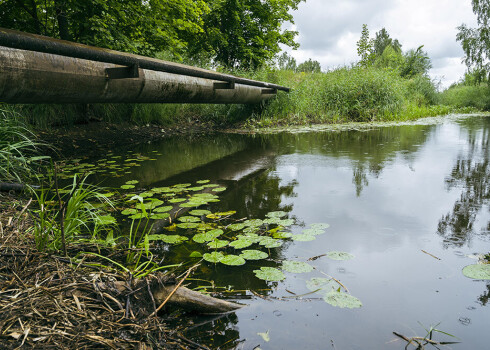 Vairāk nekā puse iedzīvotāju uzskata, ka Latvijā pārāk maz tiek runāts par upju tīrību