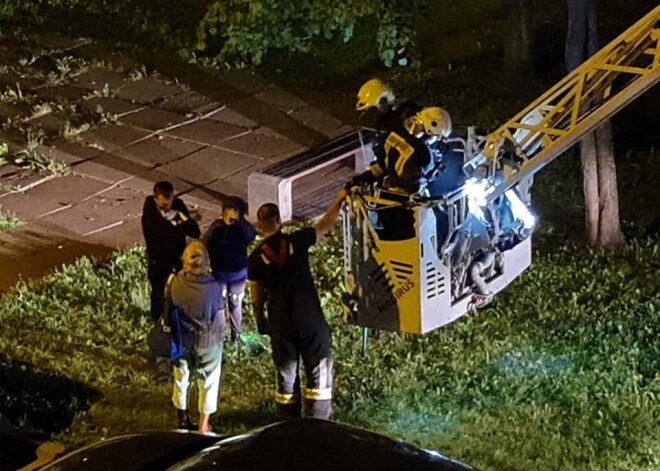 "Пусть у них будут только такие вызовы!": как две бригады пожарных спасали кошку в Золитуде