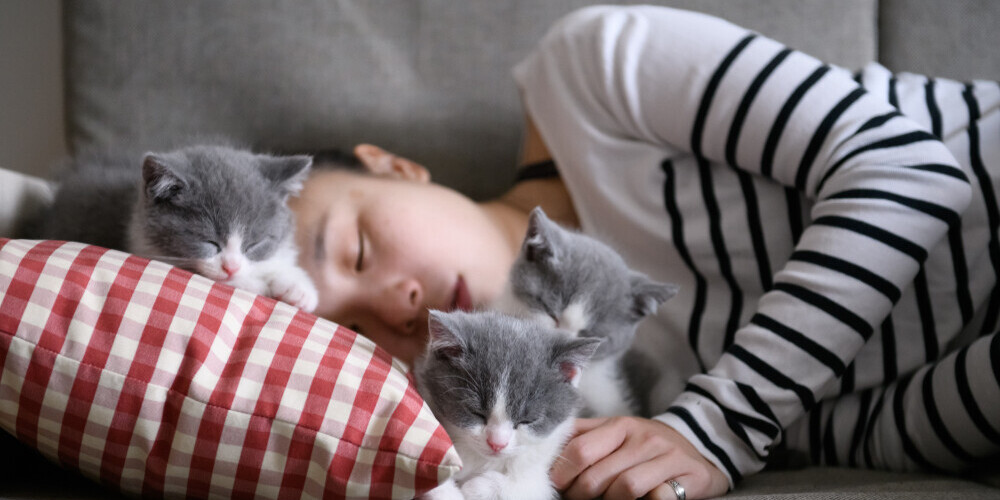 Mājdzīvnieki uzlabo cilvēku miega kvalitāti, uzskata pētnieki