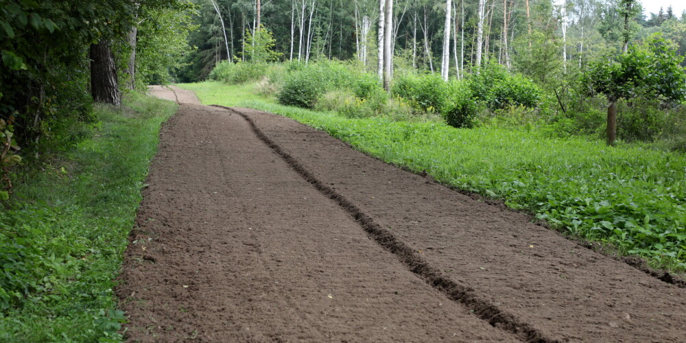 Ускоряемся! Правительство думает быстрее начать строить инфраструктуры на латвийско-белорусской границе