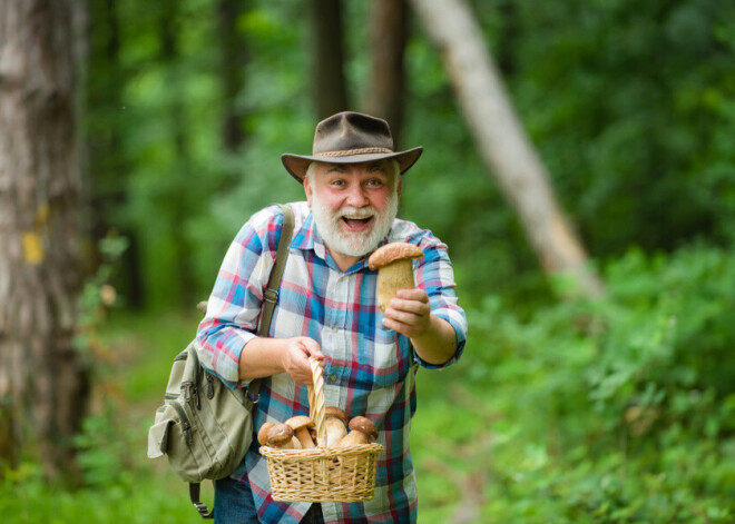 Сексуальный подтекст: грибы для омоложения и потенции