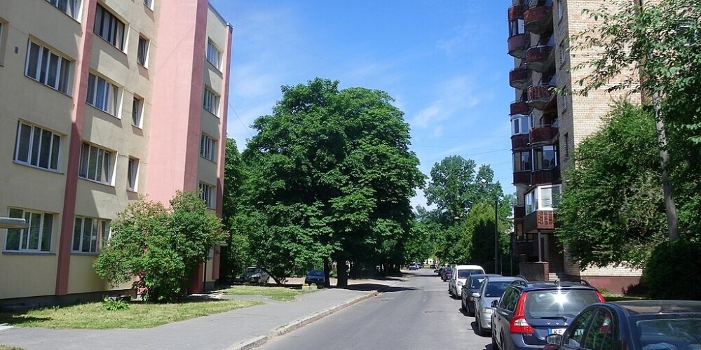 Улица Палму&nbsp;(латыш.&nbsp;Palmu iela) &mdash; улица в&nbsp;Видземском предместье&nbsp;города&nbsp;Риги, в микрорайоне&nbsp;Тейка.&nbsp;