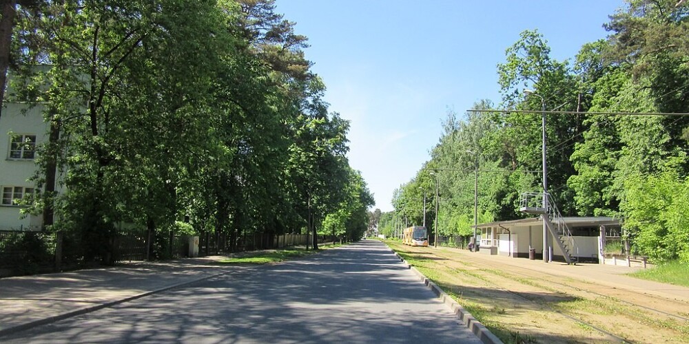 Проспект Ме́жа&nbsp;(латыш.&nbsp;Meža prospekts&nbsp;&mdash; в переводе&nbsp;Лесной проспект)&nbsp;&mdash; улица в&nbsp;Северном районе&nbsp;Риги.