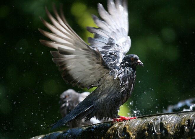 Прогноз погоды на воскресенье