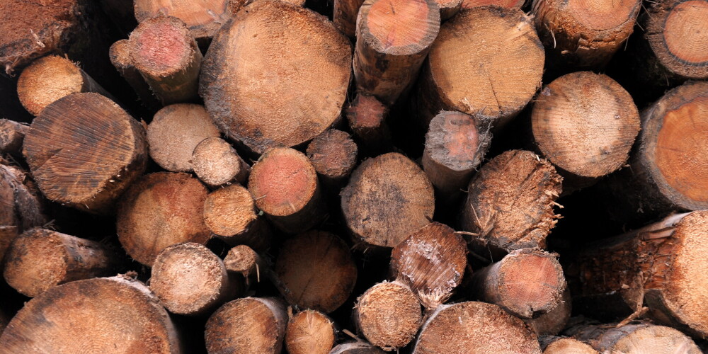 Vai pamats cerēt, ka kokmateriālu cenas atgriezīsies pirmspandēmijas līmenī?