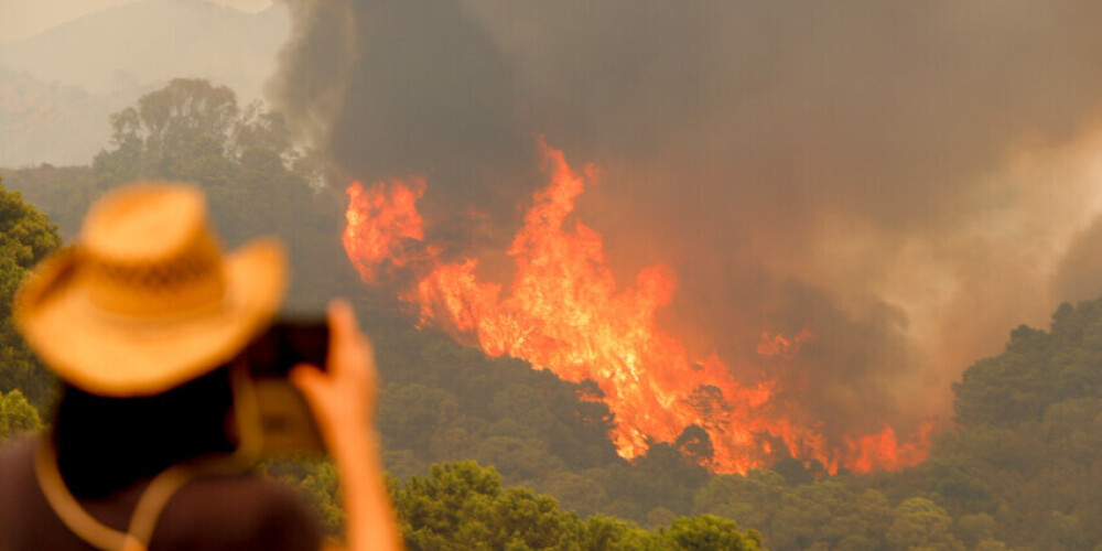 Вышел из-под контроля: лесной пожар в Испании начал убивать, сотни человек покинули дома