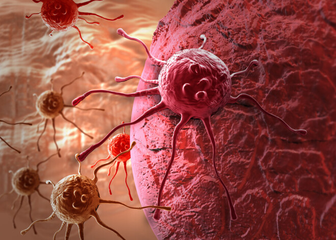 Последствия пандемии: женщина 5 месяцев не могла попасть на прием к врачу и умерла от рака