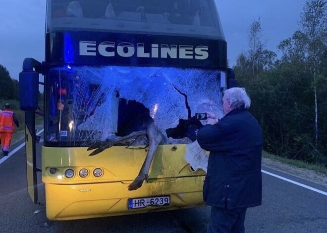 Uz Rēzeknes šosejas autobuss notriecis alni