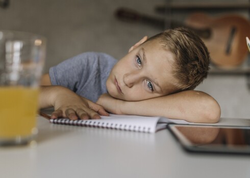 Иллюстративное фото