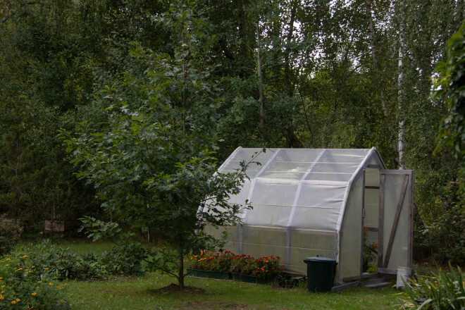 Pirms trim gadiem Marita sāka apsaimniekot siltumnīcu, tai sarīkoti pat spāru svētki ar šampanieti.