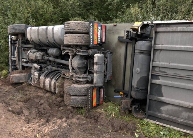 Во всем виноват лось: грузовик с прицепом массой в несколько тонн слетел с дороги и упал в канаву