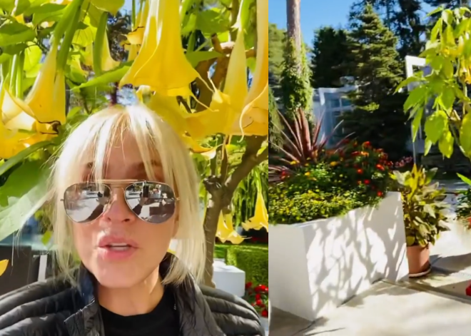 "Как у меня все цветет!": Лайма Вайкуле показала свой роскошный сад в Юрмале