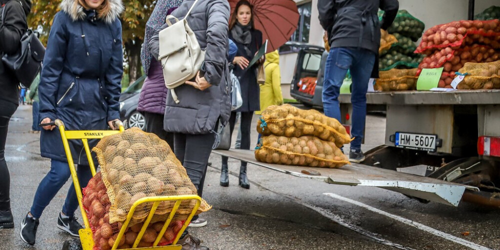 Visa patiesība par dramatiskajām kartupeļu cenām. Vai kartupeļi pārvērtīsies par ekskluzīvu delikatesi? 