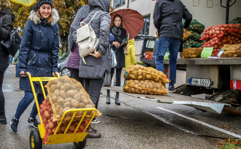 Visa patiesība par dramatiskajām kartupeļu cenām. Vai tupeņi pārvērtīsies par ekskluzīvu delikatesi? 