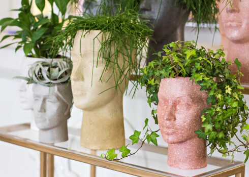 Izvēloties augu galvas formas puķu podam, jāliek lietā iztēle, jo telpaugs, kas iestādīts šādā podā, asociēsies ar matiem.