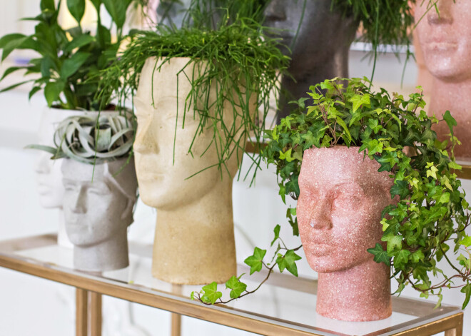 Stādīt puķes galvā? Šobrīd ļoti populāri ir cilvēka galvas formas puķu podi