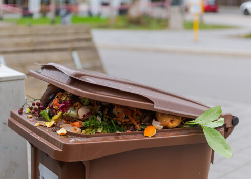 Bioloģisko atkritumu konteineros nedrīkst likt: jebkura veida bioloģiskos atkritumus maisiņos, tetrapakās, alumīnija kārbās, plastmasas un citos iepakojumos.