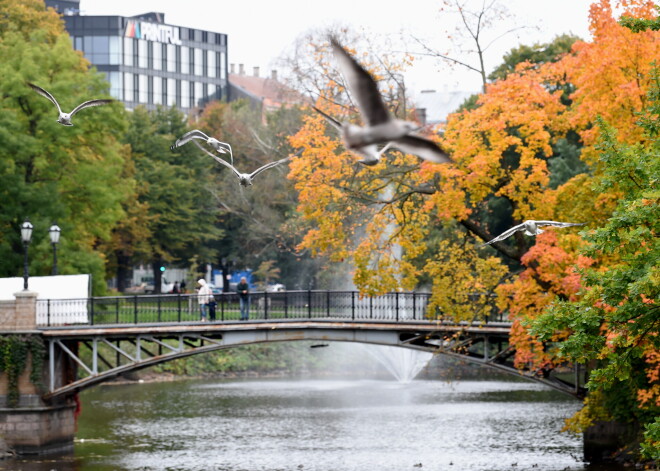 Sestdien saule mīsies ar mākoņiem