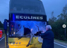 Uz Rēzeknes šosejas pasažieru autobuss sadūrās ar alni.