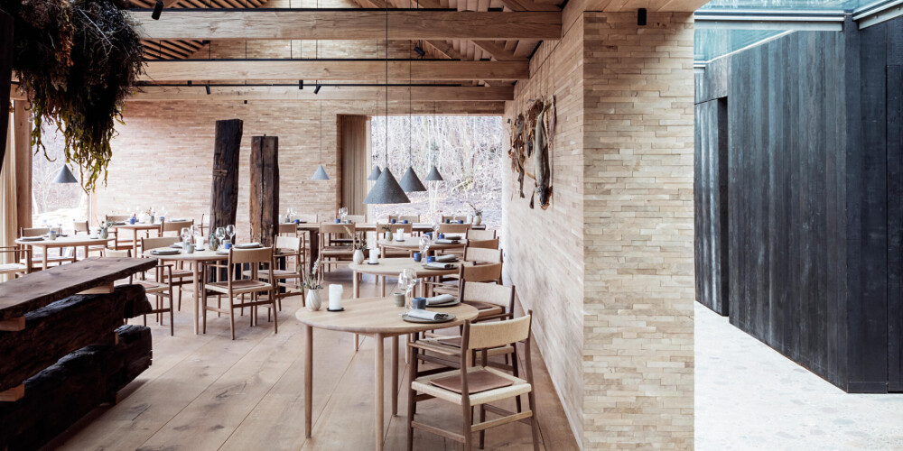 Лучшим рестораном мира стал копенгагенский Noma