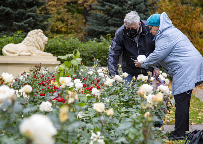 Ceturtdien gaisa temperatūra pazemināsies