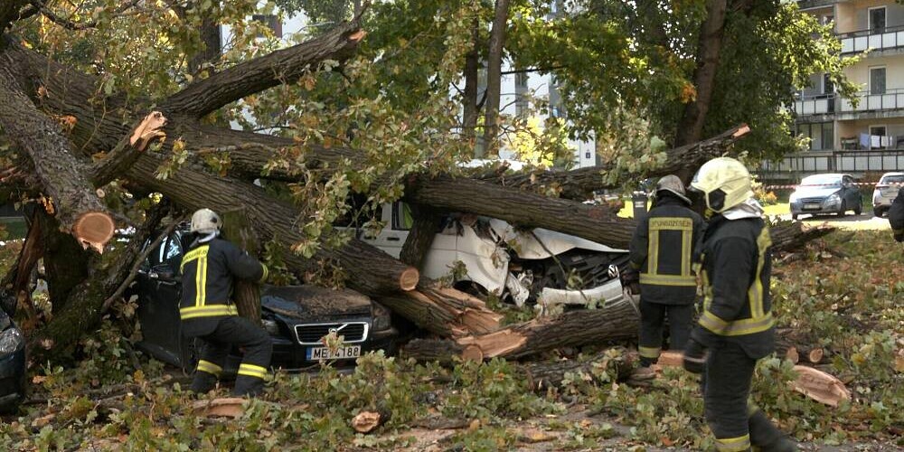 Ветер в Риге принес беду: одно дерево упало на женщину с коляской, другое повредило машины