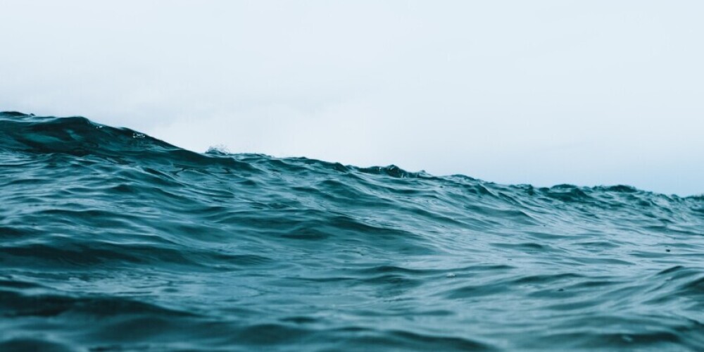 Вот это приключение: двое мужчин почти месяц дрейфовали на моторной лодке в океане