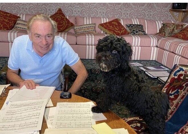 Почему создатель мюзикла “Кошки” завел собаку