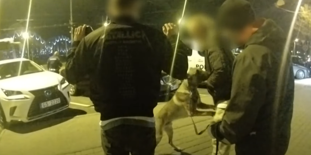 ВИДЕО: в Риге полицейская собака нашла наркотики у водителя Mercedes