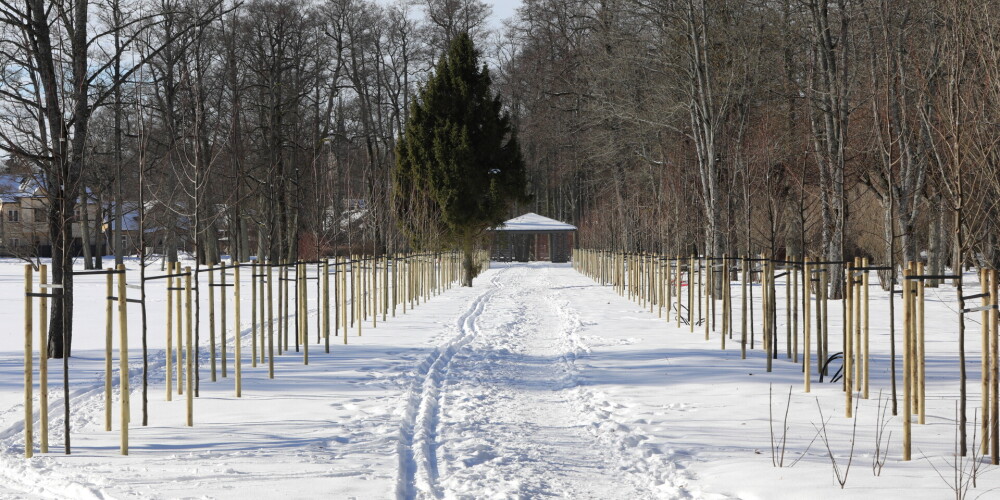 На следующей неделе в Латвии возможен первый снег