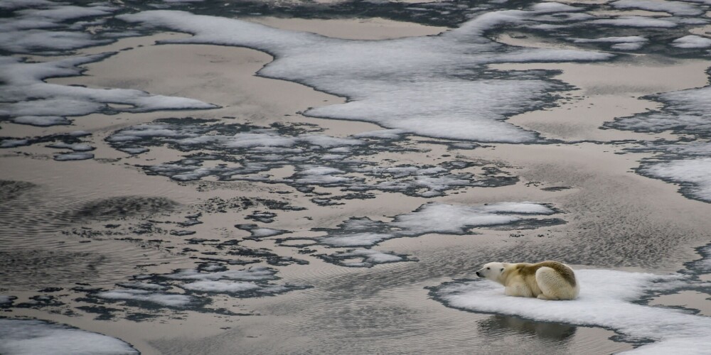 Arktiskā ledus kušana pastiprina politiskos un kara riskus, paziņo eksperts