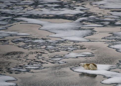 "Franz Josef Land" arhipelāgs Krievijā 2021. gada augustā.