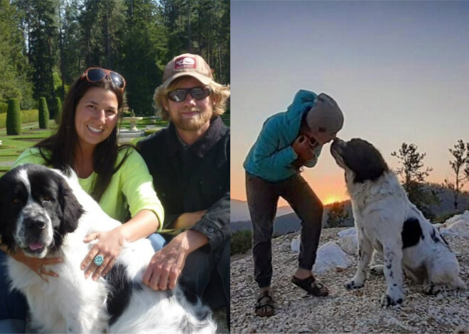 Хозяева исполнили последнее желание собаки, умирающей от рака, и достали для нее снег посреди осени