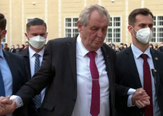 Čehijas Senāta Konstitucionālo lietu komiteja atzinusi Milošu Zemanu par nespējīgu pildīt savus pienākumus veselības stāvokļa dēļ.